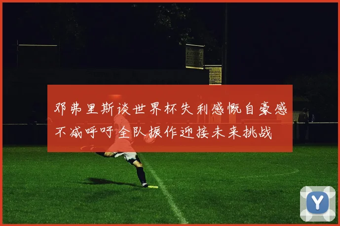 邓弗里斯谈世界杯失利感慨自豪感不减呼吁全队振作迎接未来挑战